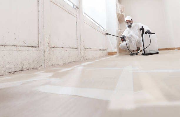 24/7 Emergency Basement Mold Remediation experts in Lexington, TX